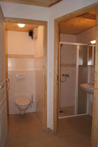 a bathroom with a toilet and a shower and a sink at Appartement la Cascade in Allos