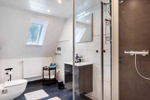 a bathroom with a shower and a toilet and a sink at Haus an der Breg in Vöhrenbach
