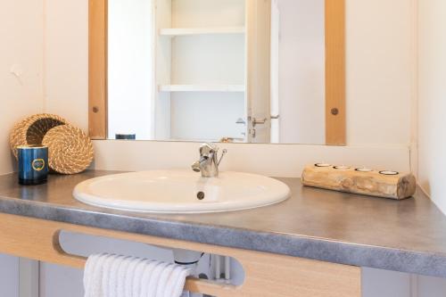 a bathroom counter with a sink and a mirror at Maisons Cozy - Mas Lachamp in Gravières
