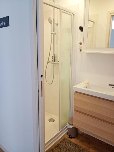 a bathroom with a shower and a sink at T2 bis Vue Aneto in Luchon