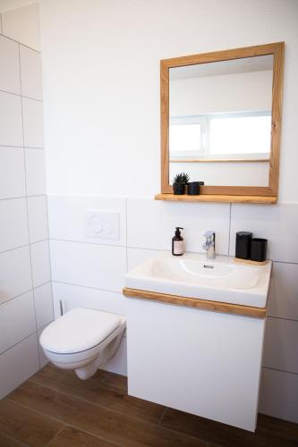 a bathroom with a toilet and a sink and a mirror at Kleines Glück Wettenberg in Hochdorf