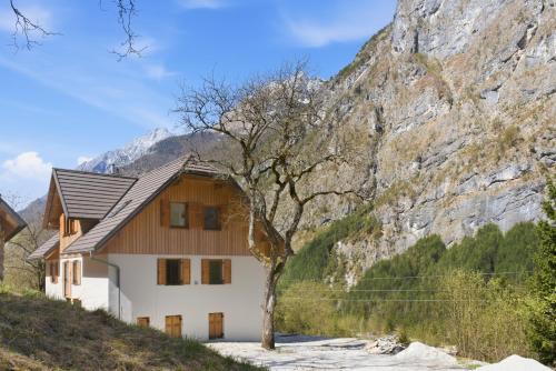 a house with a tree in front of a mountain at Mini Trenta in Soča