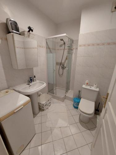 a bathroom with a toilet and a shower and a sink at Lovely view in Nice