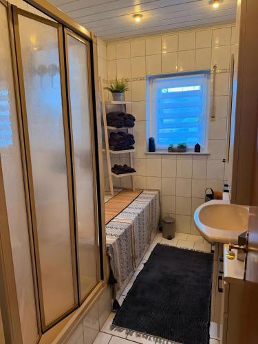 a bathroom with a shower and a sink at Ferienwohnung Seus in Dorfprozelten
