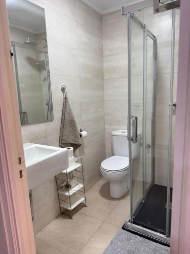 a bathroom with a toilet and a sink and a shower at Apartamento Villarias in Bilbao