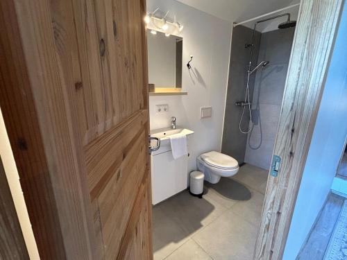 a bathroom with a toilet and a sink and a shower at Mountain View Apartment at Rauðafell in Hvolsvöllur