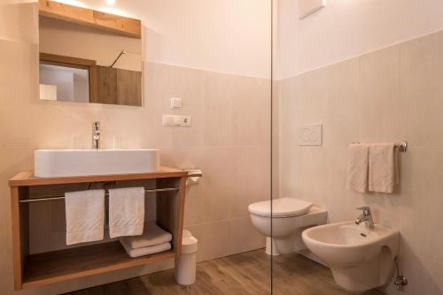 a bathroom with a sink and a toilet and a shower at Thusnelda Apartment B in Siusi