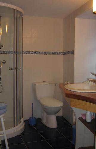 a bathroom with a toilet and a sink at Gite La Lavande in Peyreleau
