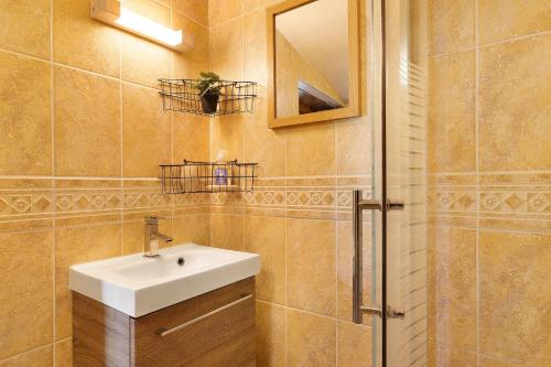 a bathroom with a sink and a mirror and a shower at Gîte des Fraignaies in Saint-Juire-Champgillon
