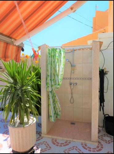 a bathroom with a shower with a plant at R-15 Large Holiday House in Torrevieja