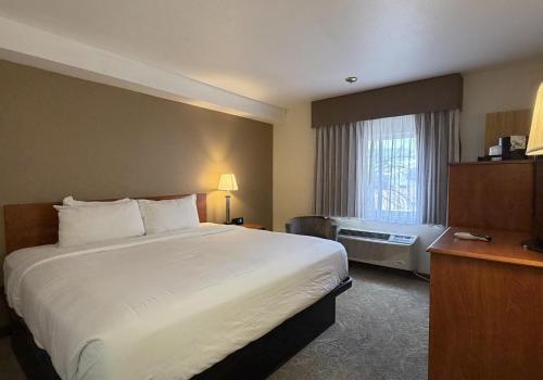 a hotel room with a large bed and a window at SureStay by Best Western Albuquerque East I-40 in Albuquerque
