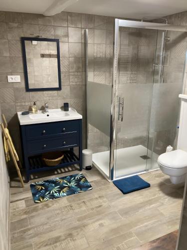 a bathroom with a shower and a sink and a toilet at Chambre D'hôtes - Chambre in Jeufosse