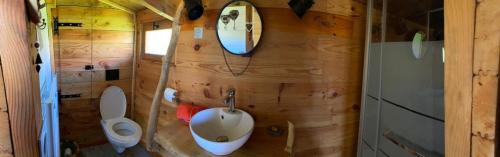 a small bathroom with a toilet and a mirror at Gîte à la ferme- Chalet à la nuitée in Mazan-lʼAbbaye
