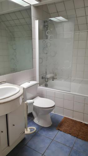 a bathroom with a toilet and a sink and a shower at Haras de la fontaine Datcha in Poligny