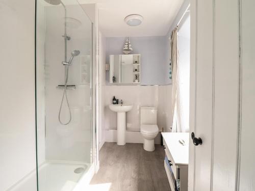 a bathroom with a shower and a toilet and a sink at Glanrafon in Llwyngwril