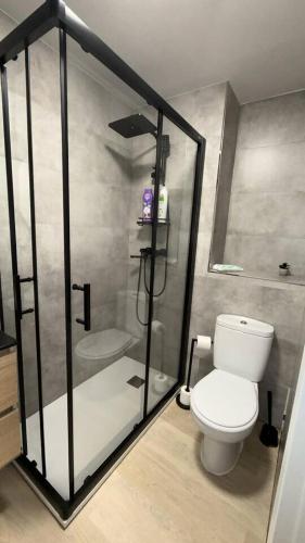 a bathroom with a white toilet and a shower at Suite Muralla 2.3-B in Lugo