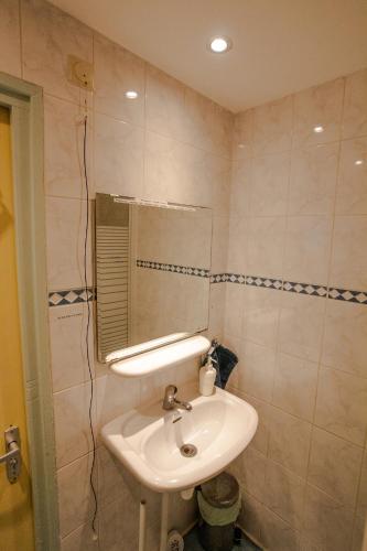 a bathroom with a sink and a mirror at Bed and Breakfast Amsterdam Holy Dove in Amsterdam