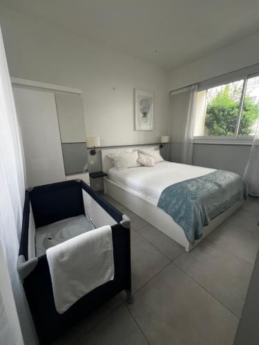 Lovely and Spacious apartment