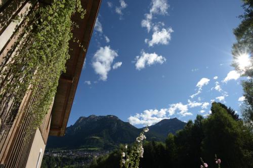 a view of the mountains from a building with vines at B&B Mas de Lagorae in Tesero