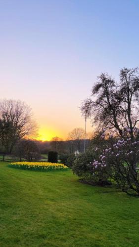 a park with flowers and a sunset in the background at Gästehaus Rosenkamp in Scharbeutz