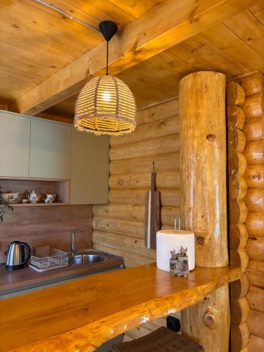 a kitchen in a log cabin with a sink and a lamp at Cottage retreat- Skadar Lake in Virpazar