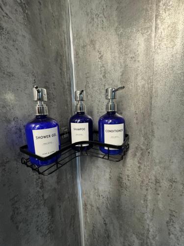 two bottles of soap on a shelf on a wall at Victoria Park in Bristol