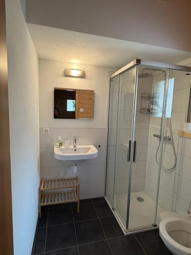 a bathroom with a sink and a shower at Chalet Silentium in Bellwald