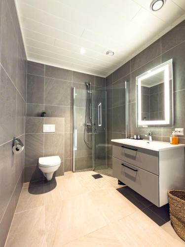 a bathroom with a shower and a toilet and a sink at Villa Lofoten balcony view in Ballstad