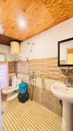a bathroom with a shower and a toilet and a sink at Dolma Homestay By Orko in Nachar