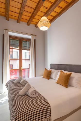 Ohliving Hernando Colón A