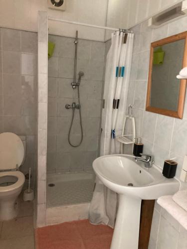 a bathroom with a shower and a sink and a toilet at chez mamie in Les Avirons