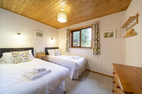a bedroom with two beds and a window at E42 - Nare in Truro