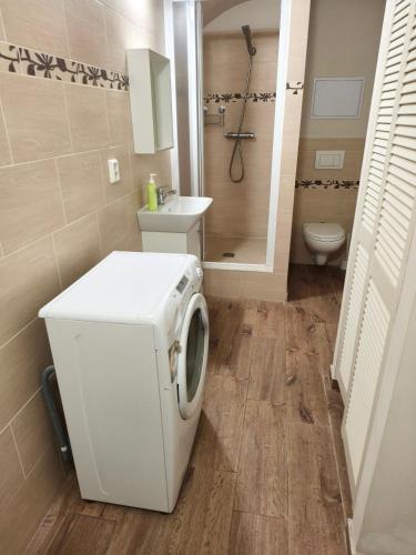 a washing machine in a bathroom with a toilet at Jüstel apartment in Litoměřice
