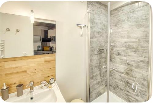 a bathroom with a shower and a sink at les Renardeaux maison cosy idéal PRO CNPE PIPA et Familles in Ambutrix