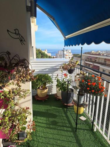Superb 2 bedrooms, pools, quiet, near sea
