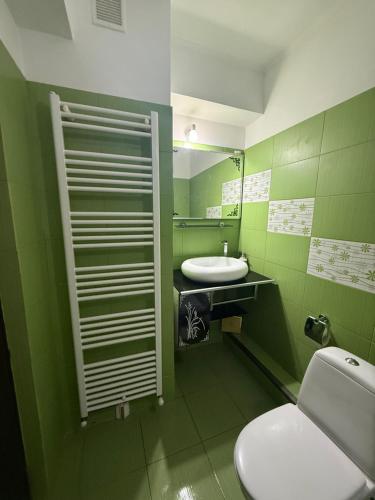 a green bathroom with a toilet and a sink at Green Paradise in Curtea de Argeş