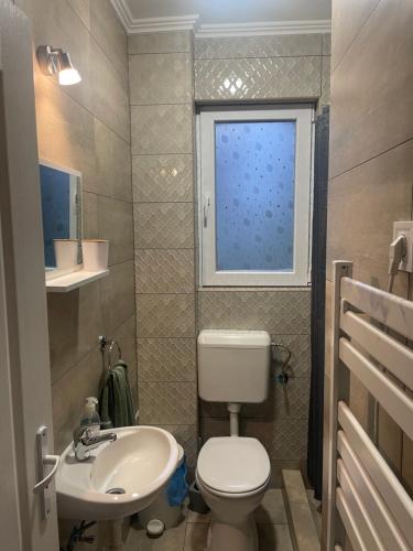 a bathroom with a toilet and a sink and a window at Harkály Nyaraló in Tiszakécske