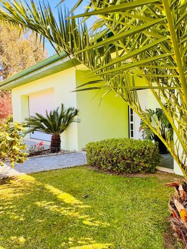 a yellow house with a palm tree in front of it at Casa Cataleia VILLA INN in Ponte de Lima