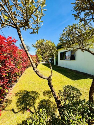 a house with two trees in front of a yard at Casa Cataleia VILLA INN in Ponte de Lima