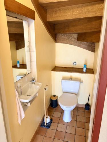 a small bathroom with a toilet and a sink at AppartCosy 27 Epine in Châteaubourg