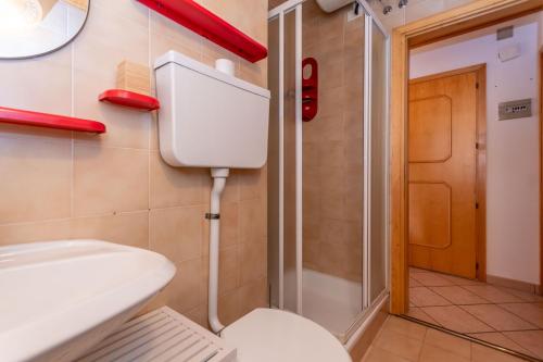 a small bathroom with a toilet and a shower at Ciasa Gaia in Mazzin