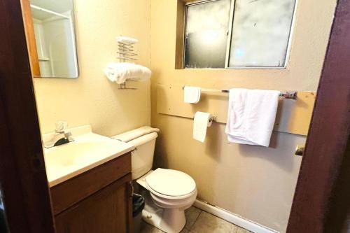 a bathroom with a toilet and a sink and a mirror at Sparta Motel Near St Louis- Mississippi River IL in Sparta