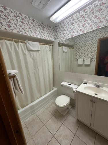 a bathroom with a toilet and a sink at Budget Inn - Cambridge in Fairdale