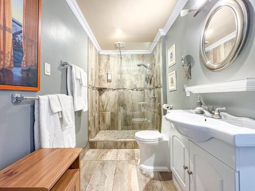 a bathroom with a shower and a sink at Maison Des Jardins B & B in Montreal
