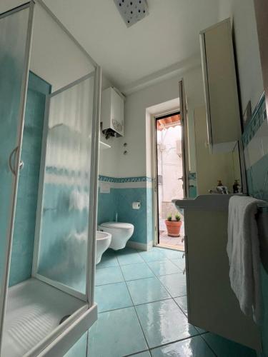 a bathroom with a shower and a sink and a toilet at La Casetta in Lacco Ameno
