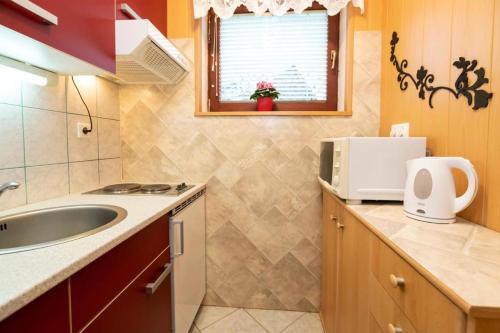 a small kitchen with a sink and a window at Apartment Kikelj in Bohinj
