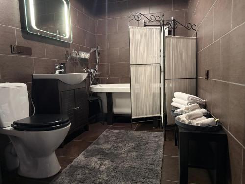 a bathroom with a toilet and a sink and a mirror at Traku14 Old Town Yoga Studio in Vilnius