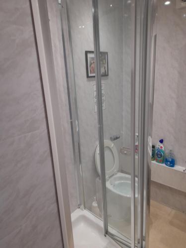 a shower stall with a toilet in a bathroom at The Bolt Hole in Barmouth