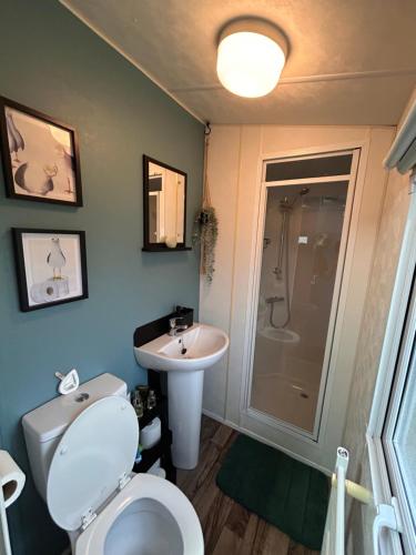 a bathroom with a toilet and a sink and a shower at Withernsea sands-Maple grove in Waxholme