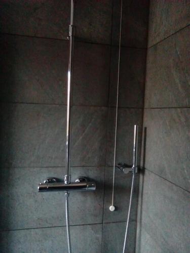 ヴィチェンツァにあるVilla Osmanthusのシャワーヘッド付きのガラスドアが備わるシャワールームです。
